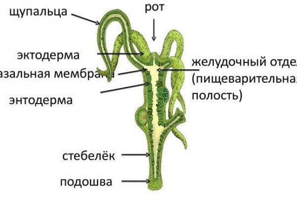 Кракен сайт 18at